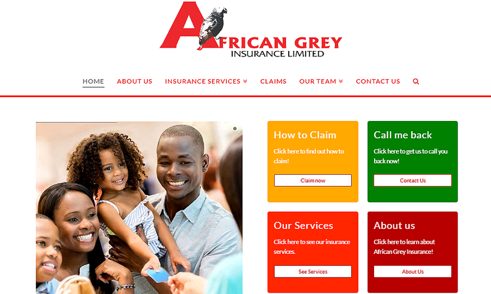 Zambia’s African Grey Insurance adopts Agilis insurance solution