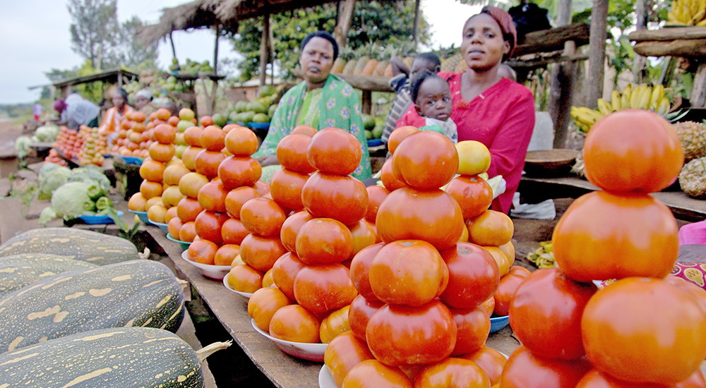 Togo to provide farmer subsidy through mobile e-wallets