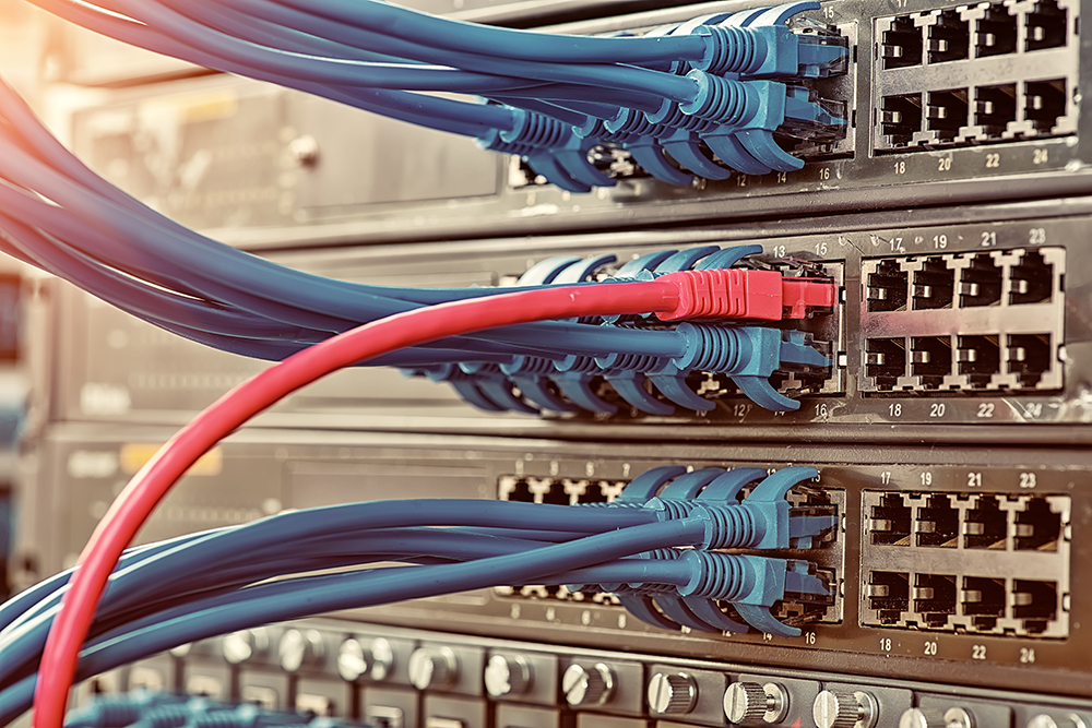 Paratus Botswana now offers quality Molex cabling solutions