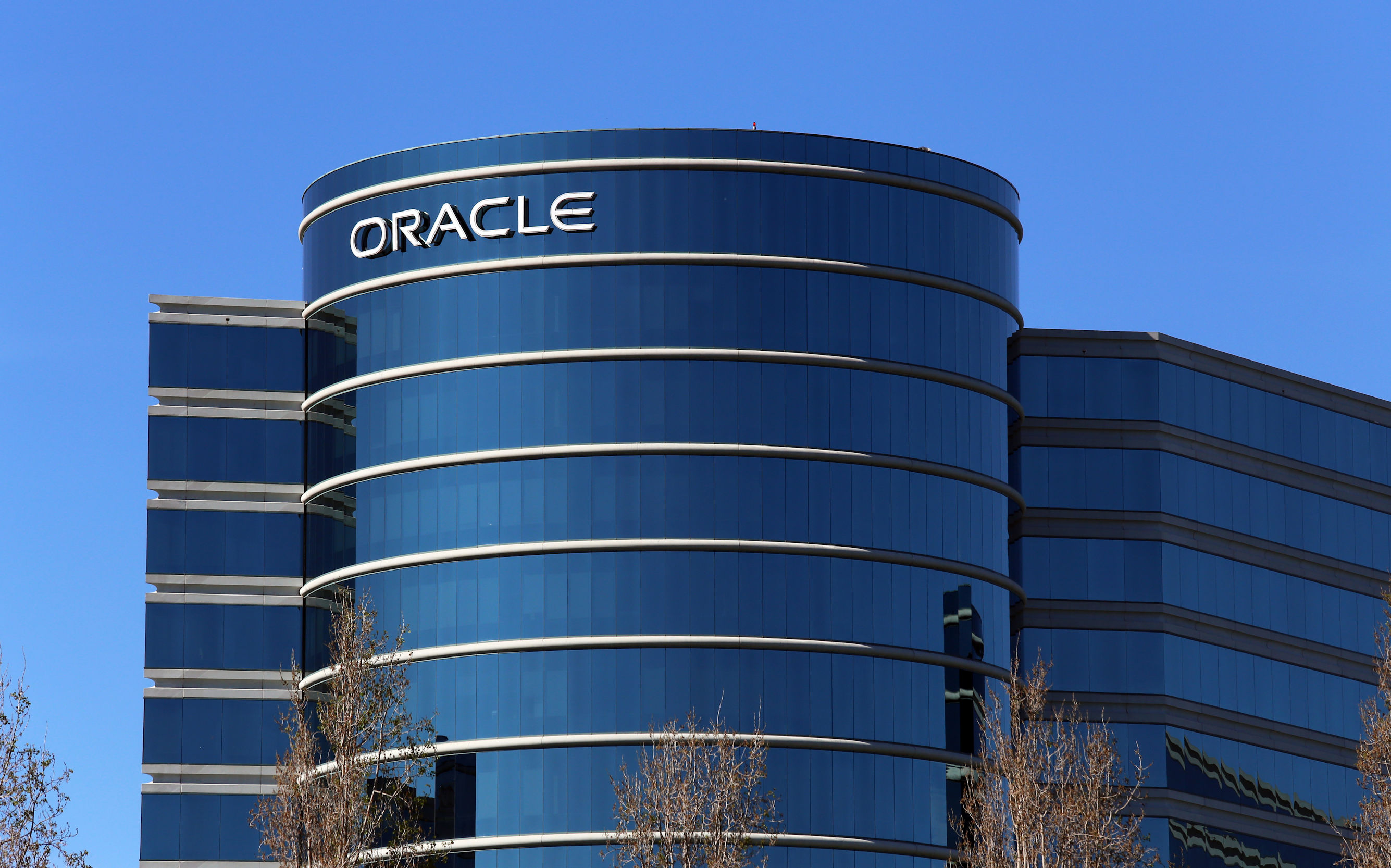Oracle spokesman on why Egypt is one of the company’s top markets