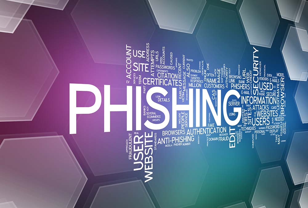 What can organisations do to prevent the rise of phishing attacks?