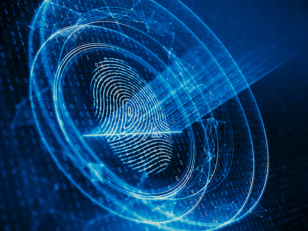 Biometrics has a keen stake in the war on identity fraud – Afiswitch
