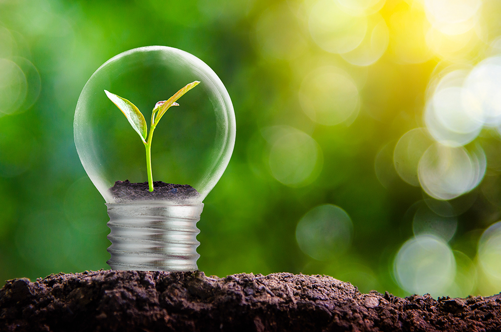 Solar irrigation solution named winner of Uganda Renewable Energy Fund