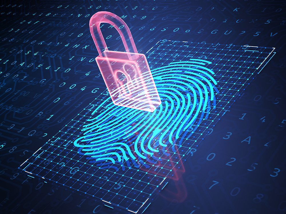 Tackling the trillion dollar identity fraud crises