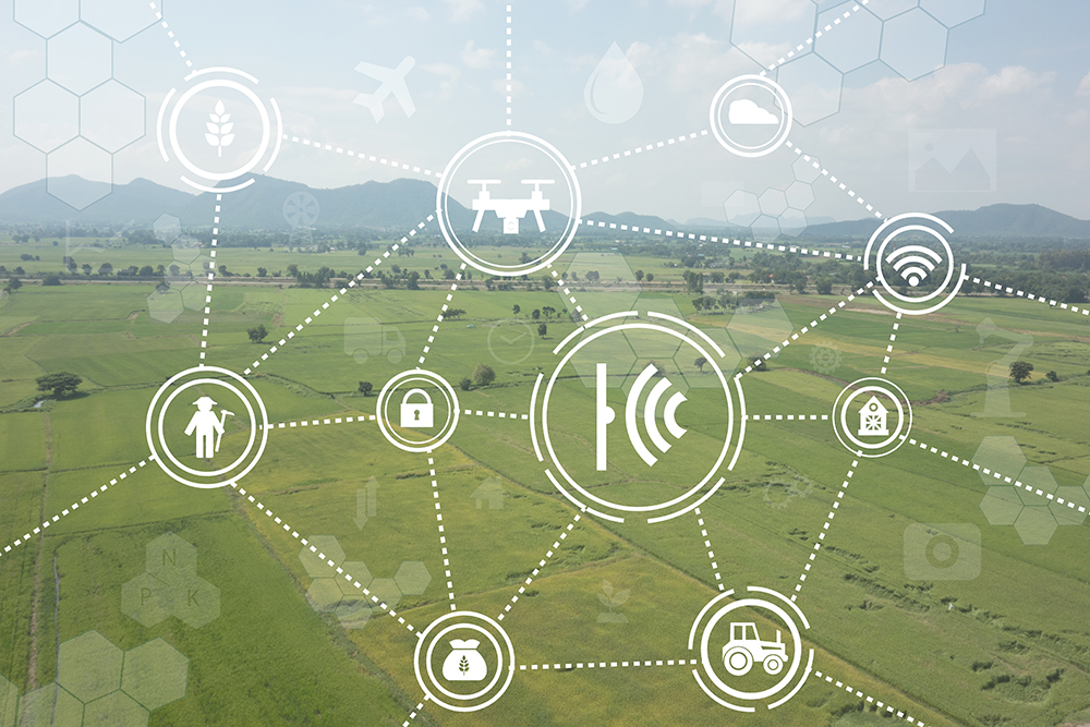 Experts discuss how technology can transform food systems in West Africa