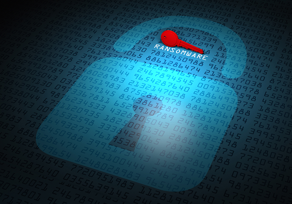 How to safeguard your network following attack on City Power