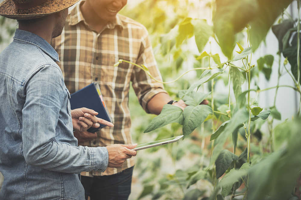 Technology and innovation ‘will help speed up removal of land sector corruption in Africa’