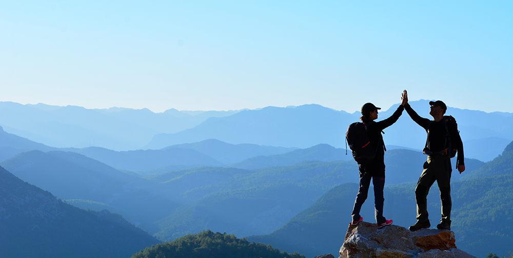 IBM study reveals importance of trust in an organisation