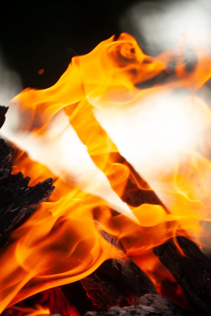 Securex 2020 all fired up with introduction of Firexpo