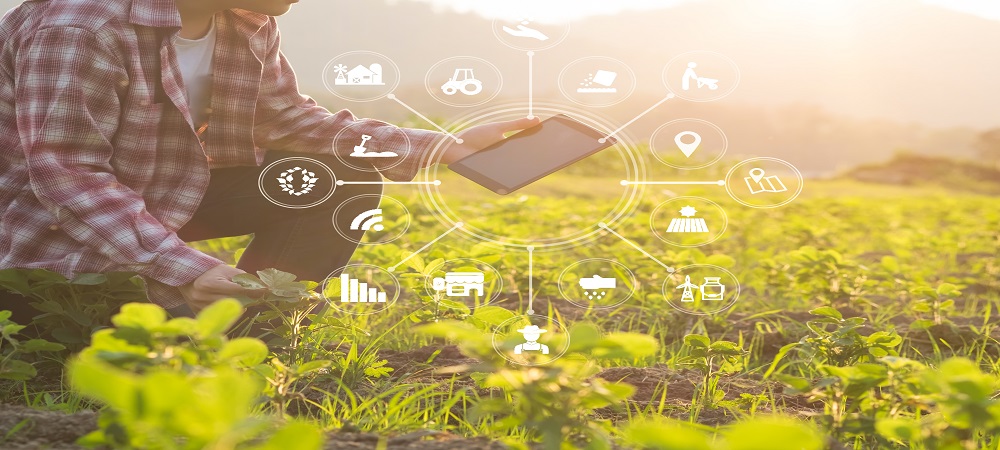 IBM supports African agricultural start-ups through Digital4Agriculture initiative