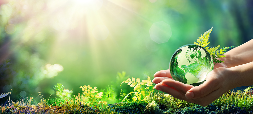 Lenovo ushers in green revolution by offsetting carbon emissions