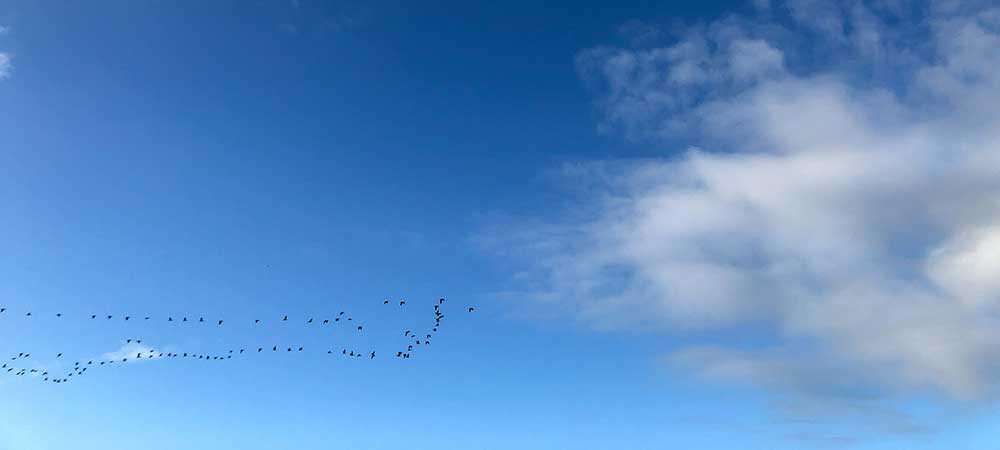 Considering cloud migration: Strategy is king
