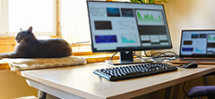 The Ultimate Guide To Remote Workforce Security