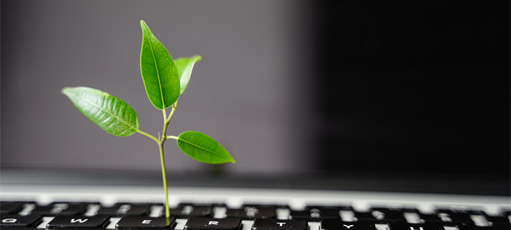 How to get sustainability gains from technology solutions