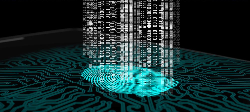 Cybersecurity myths that are harming your business
