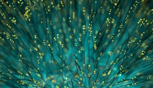 Africa Data Centres partners with Oni-Tel to enhance data centre connectivity in South Africa