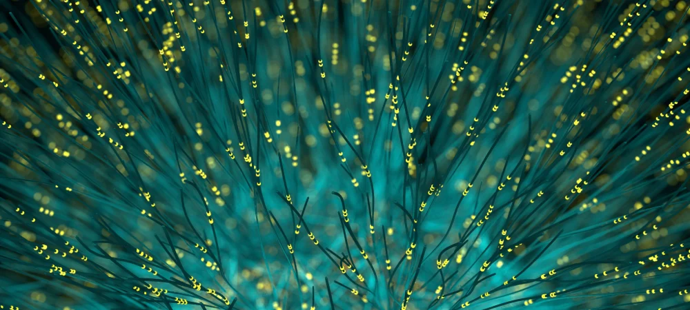 Africa Data Centres partners with Oni-Tel to enhance data centre connectivity in South Africa