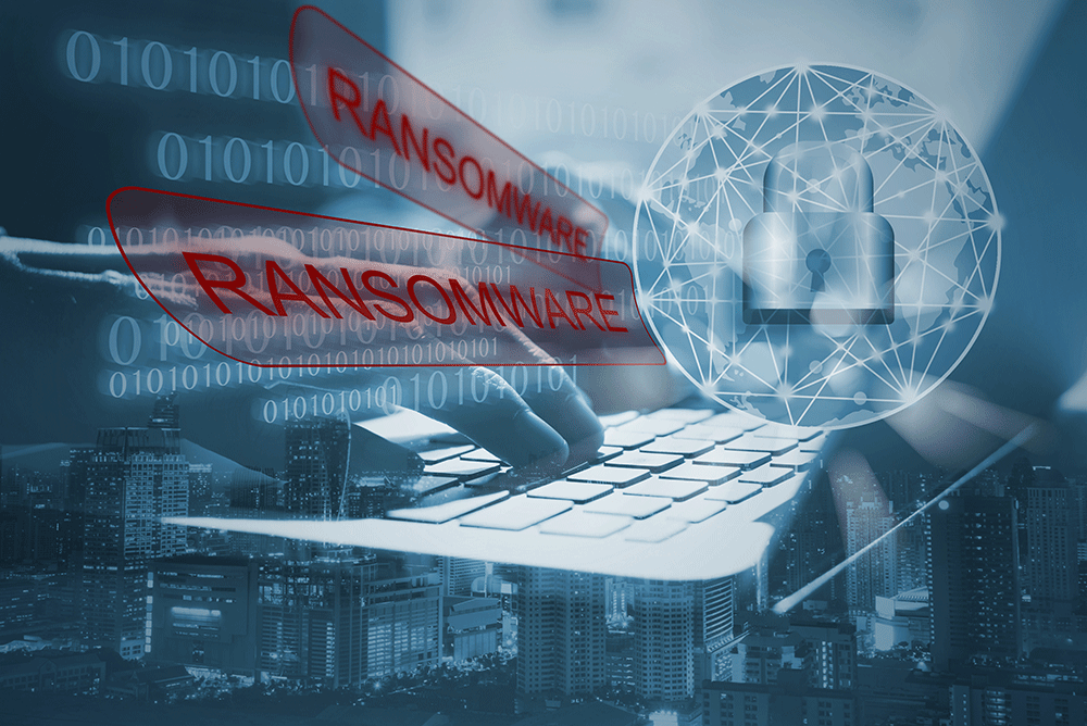 Sandz mitigates ransomware risk with OpEx Backup Appliance powered by Asigra and Zadara