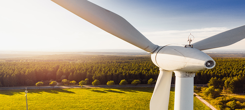 Macquarie University campus to be powered by renewables