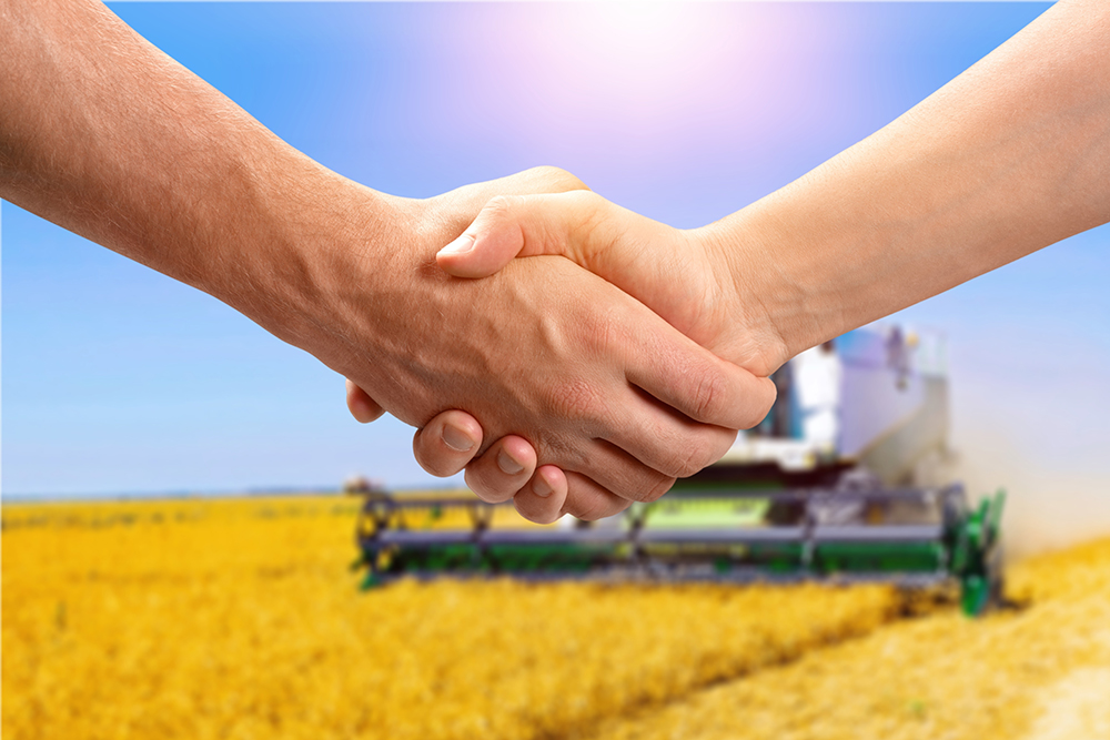 Elders switches to Rimini Street Support for its SAP software