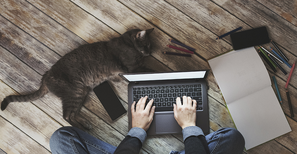 Why IT and HR must work together to help business safely weather the storm