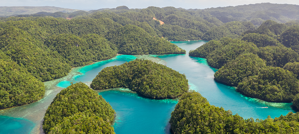 Ericsson, PLDT and Smart connect for environmental conservation in the Philippines