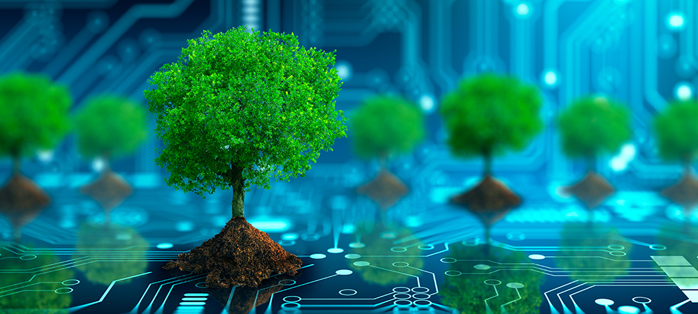 Technology leaders take a look at IT practices that negatively impact the environment