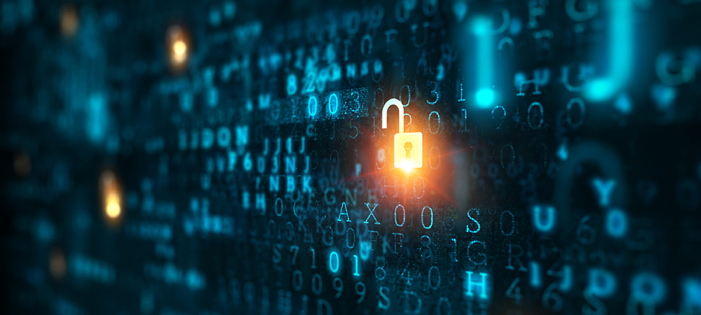 Fighting for a cyber-secure Singapore