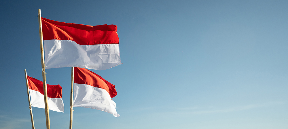 Super Sistem selects Infinera’s GX Series for SSBS Cable System to expand connectivity to Indonesia