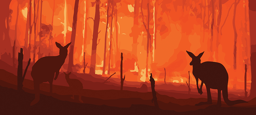 Fighting wildfires from space in record time