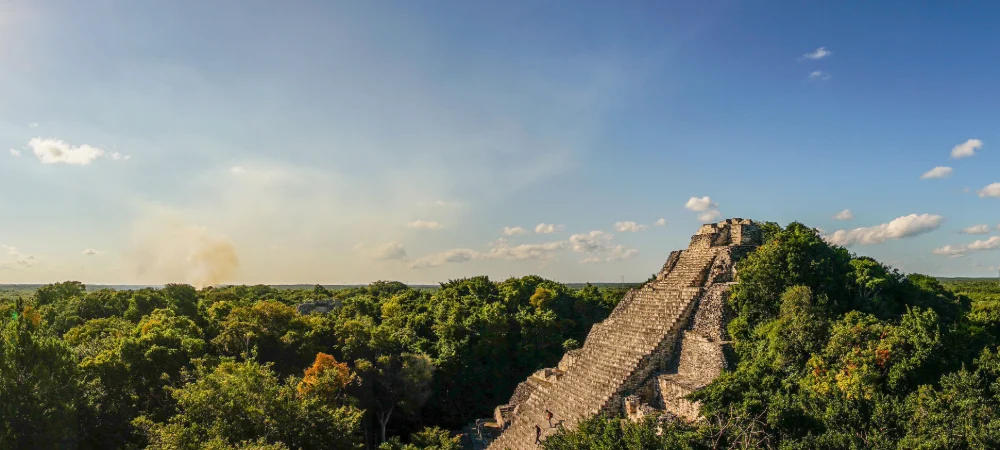 Huawei awarded for using advanced technology to protect jaguars in Mexico
