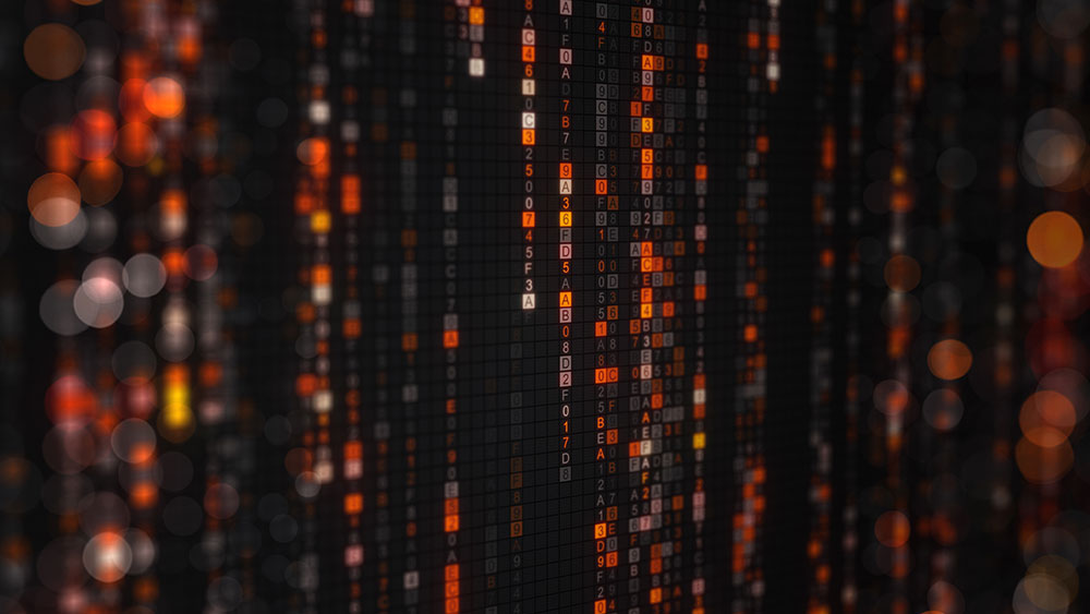 Hilson Moran improves network efficiency, strengthening data security