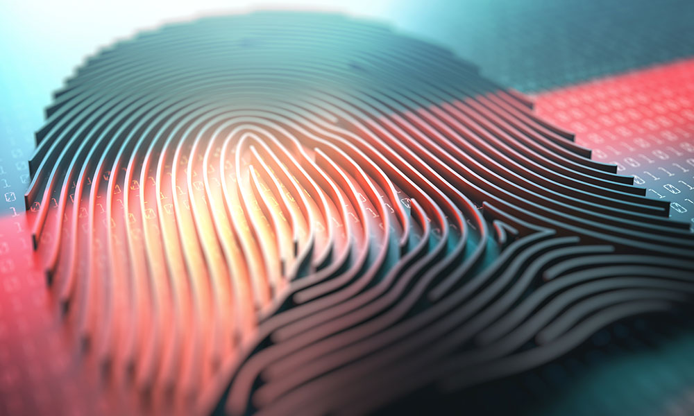 DERMALOG sets new world record for fingerprint matching