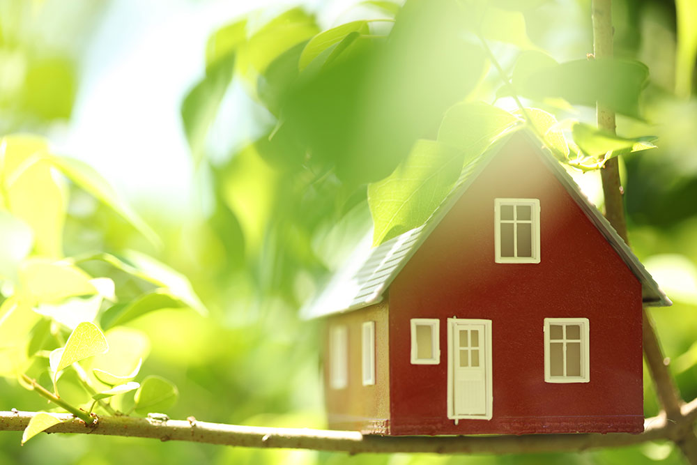 EDF Energy launches competitive home battery system for solar PV