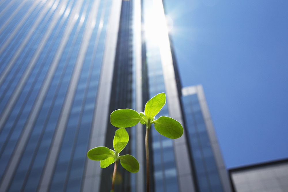 ServiceNow expands in Ireland with new Dublin office