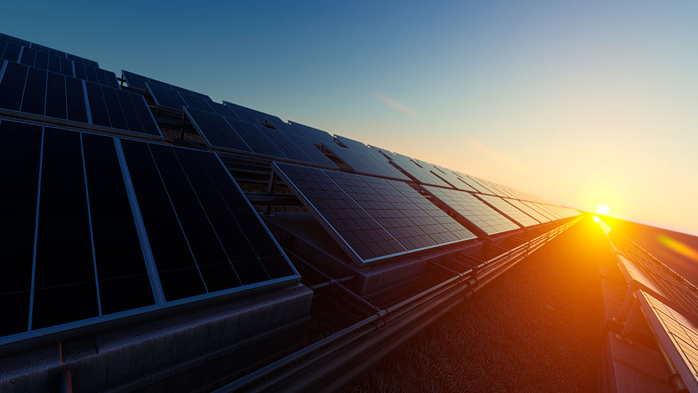 REC Group plans strategic collaboration with Swiss solar technology leader