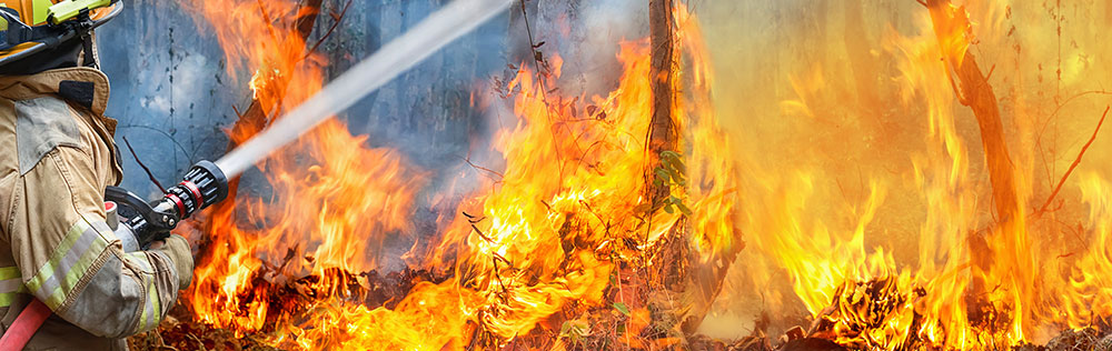 Leveraging the power of data to save lives