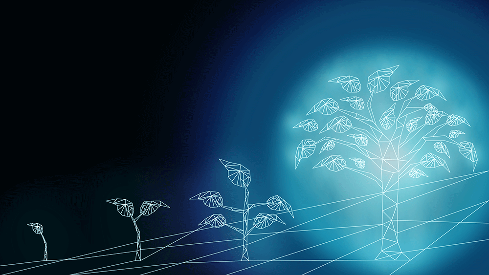 How to maximise success in your Digital Transformation project