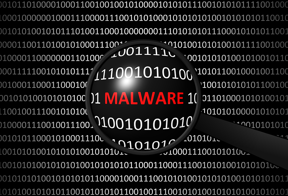 Malware variety grows by 13.7% in 2019 due to web skimmers