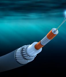 Ciena upgrades EIG submarine cable system to connect businesses in Europe, Middle East and India
