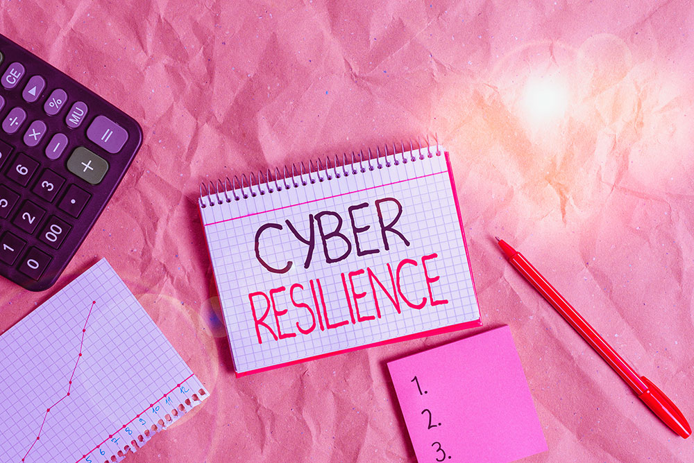 Human skill and expertise considered most important element of cyber-resilience approach