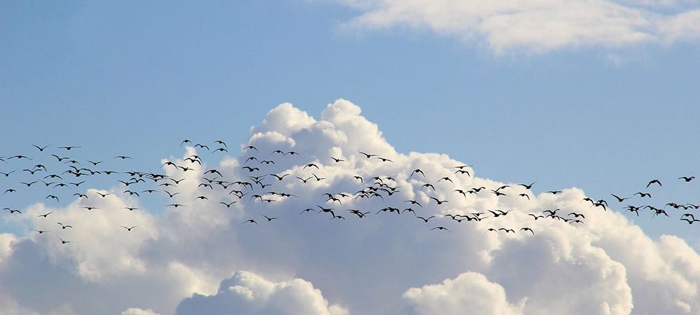 Five steps to successful and confident cloud migration, even in a pandemic