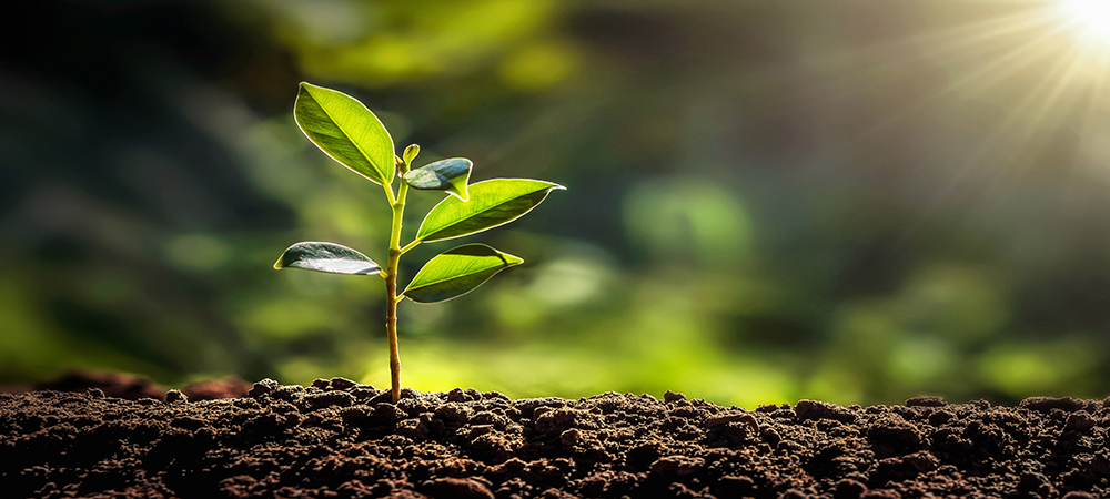 How going digital is the first step to sustainability