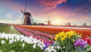The Netherlands is leading the digital pack – But can it stay there