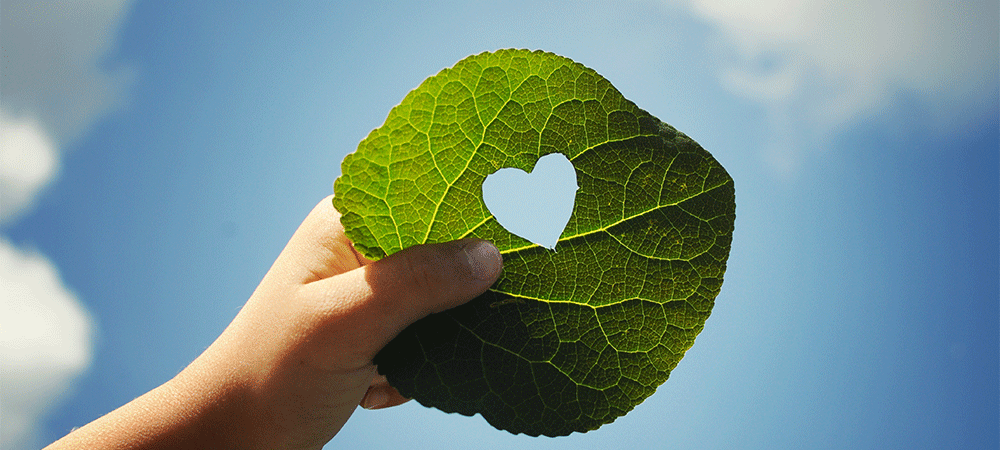 Climate Neutral Data Centre Pact commits industry to ambitious sustainability action