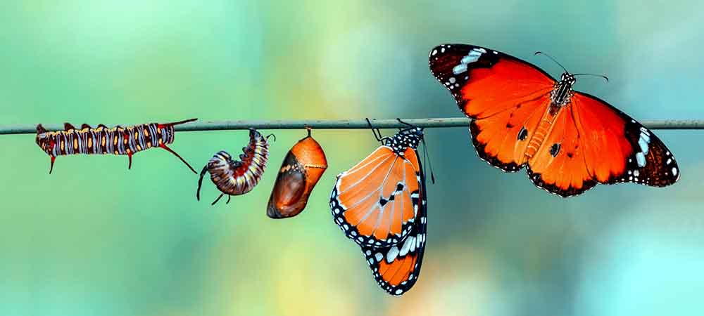 NTT reveals only 20.6% of Digital Transformation efforts are optimised