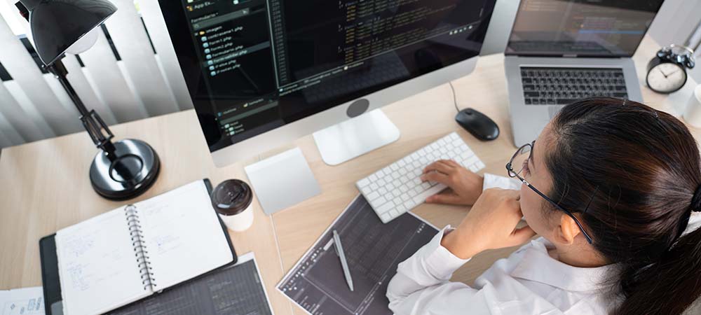 Coding and software development are top skills chosen to aid employment opportunities