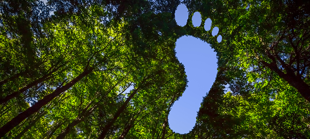 Capgemini helps organisations achieve results on their sustainability journey