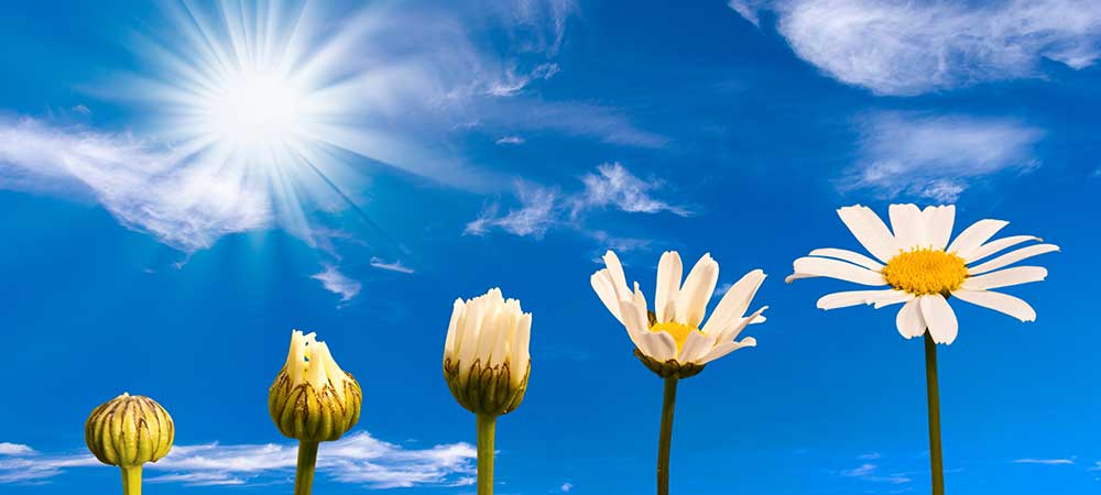 Hybrid cloud can put companies into the jet stream of Digital Transformation