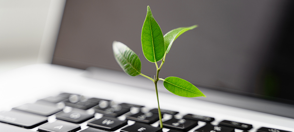 More than half of CSCOs would sacrifice profit for sustainability